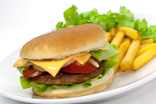 Hamburger with french fries