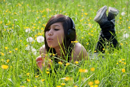Recreation on the meadow