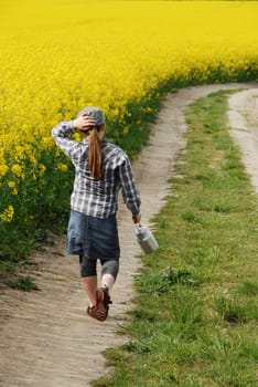 In rapeseed