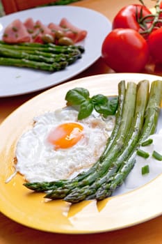 Green asparagus with fried egg and salad