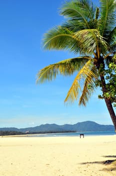 Beach Sea Borneo