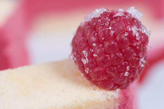 Sugar Raspberry