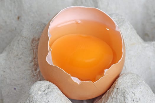 Egg yolk