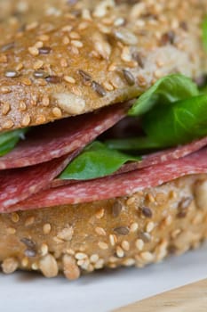 Salami close
