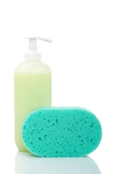 Soap dispenser and sponge