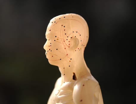 acupuncture figure profile