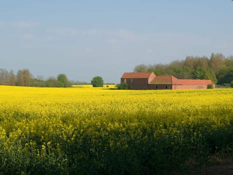 Builing in field