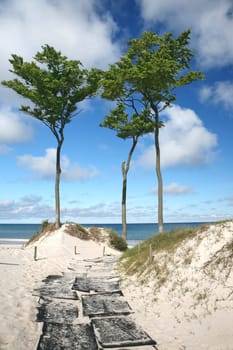 Darßer Weststrand