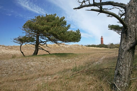 Darss Lighthouse Prerow