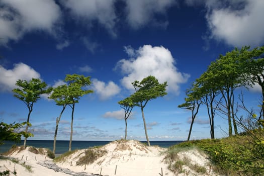 Impressions of the Baltic Sea