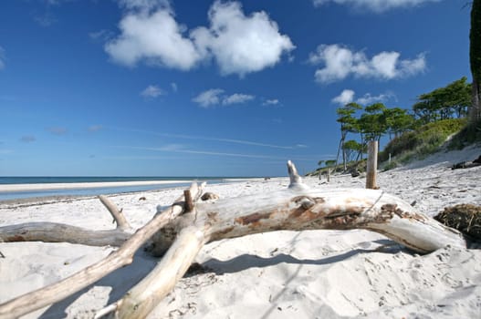 wildly romantic west beach