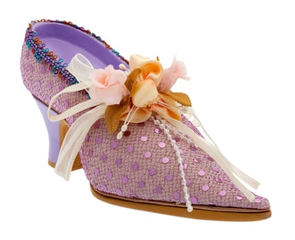 Women's shoes elegant