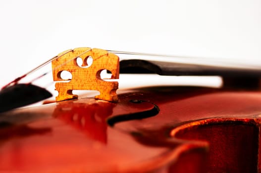 fiddle bridge