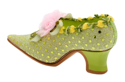 Women's shoes elegant