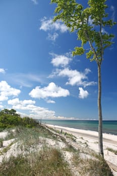on the Baltic Sea beach