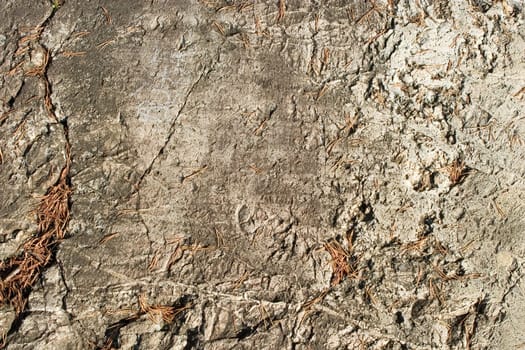 Rock Texture
