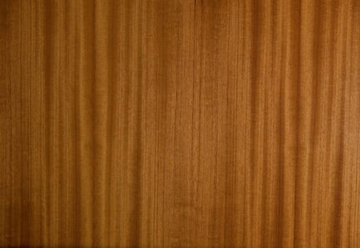 Dark Wood Texture