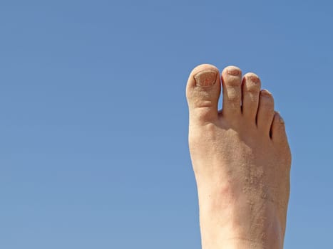 Walking on the beach in front of a blue sky