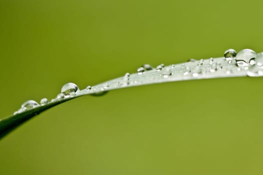 Raindrop