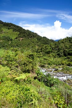 Tropical Mountain Landscape