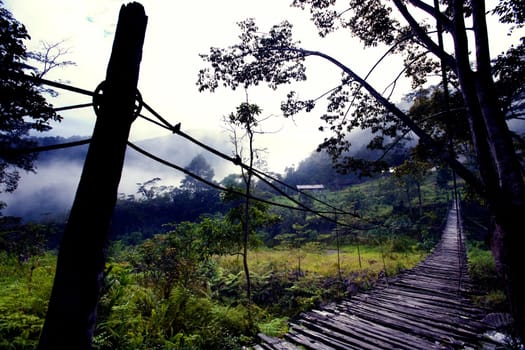 Hanging Bridge Fear