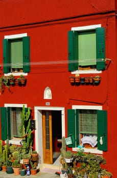 The house with the many cacti