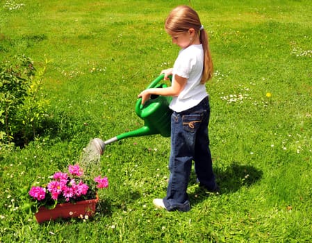 Child watering flowers