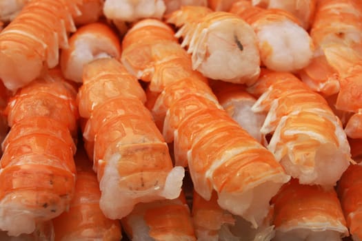 crustacean background
