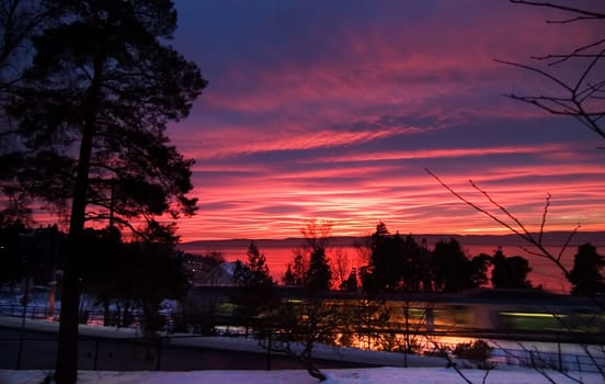 Purple Sunset