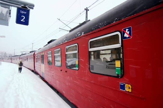 Winter Train Station