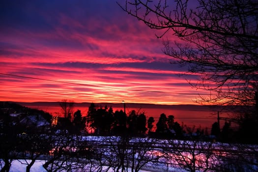 Purple Sunset