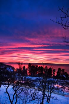 Purple Sunset