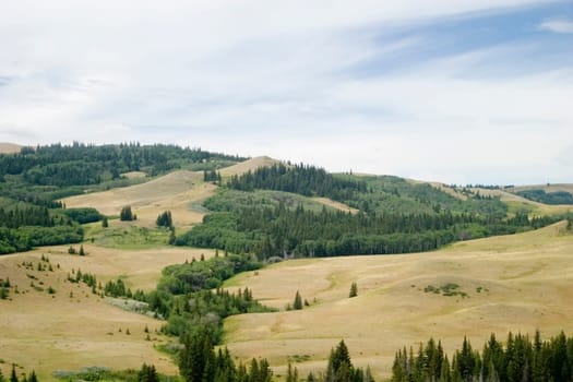 Cypress Hills