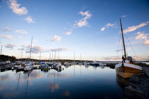 Sailboats in the Evening