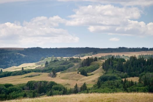 Cyrpess Hills