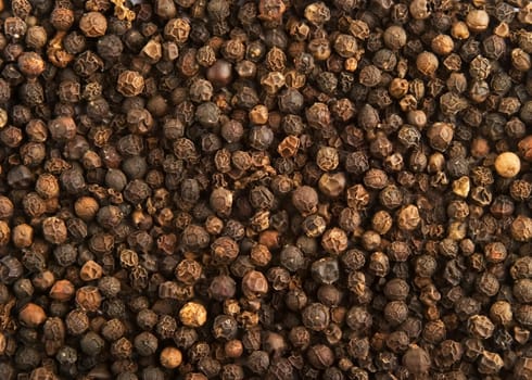 Pepper Background