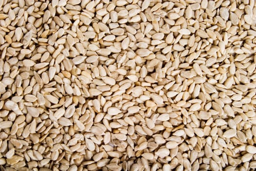 Sunflower Seeds Background