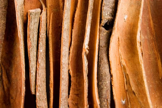 Bulk Cinnamon Background