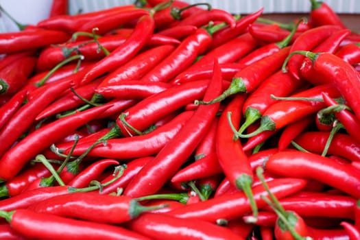 Fresh Hot Peppers