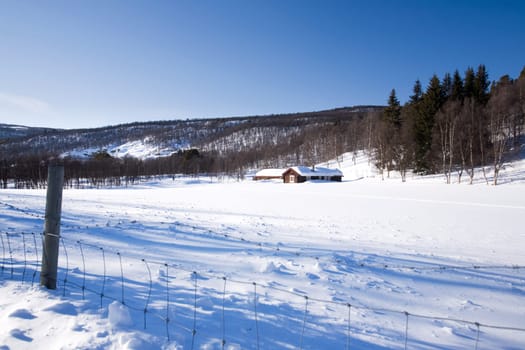Winter Mountain Cabin