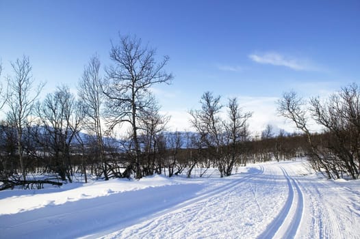 Cross Country Ski Trail