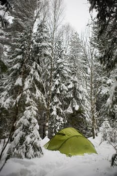 Winter Camping