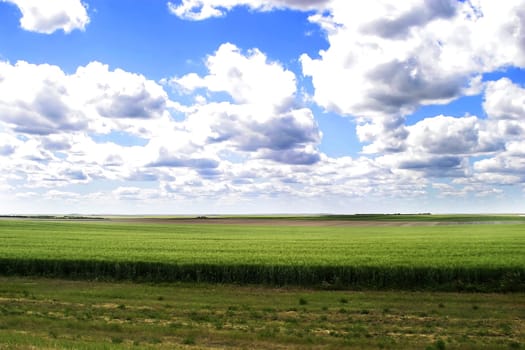 Prairie Landscape