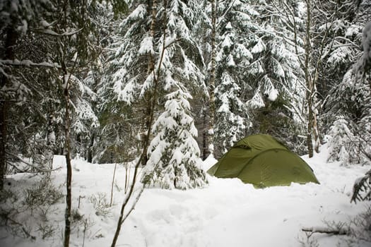 Tent in Snow
