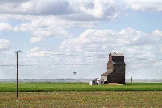 Prairie Landscape