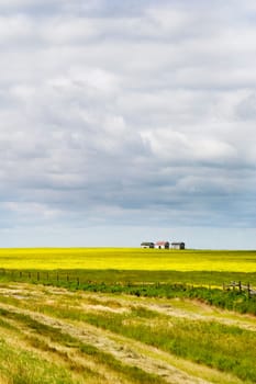 Prairie Landscape