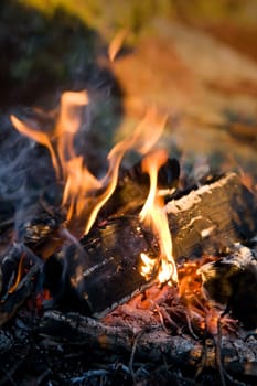 Campfire Detail