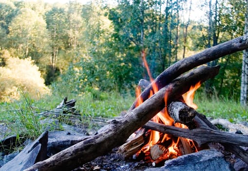 Camp Fire