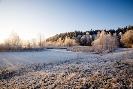 Winter Landscape
