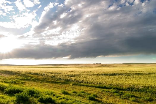 Prairie Sky Landscape
